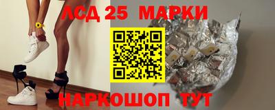 крисы Славгород