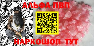 крисы Славгород