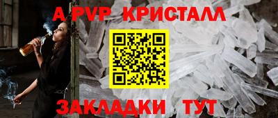 крисы Славгород